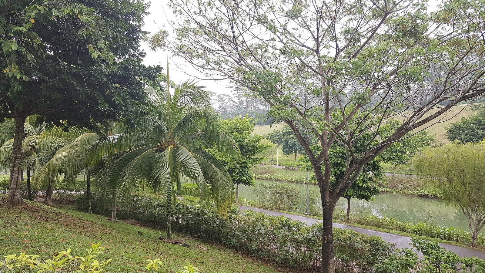 Punggol Waterway Park Pathway (2)