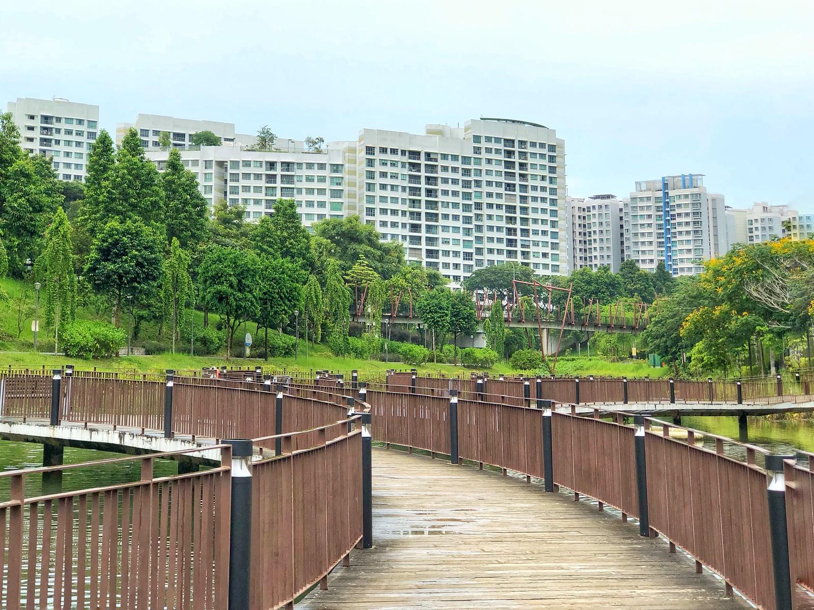 Hidden Nature Walks in Punggol Locals Love-But Tourists Miss