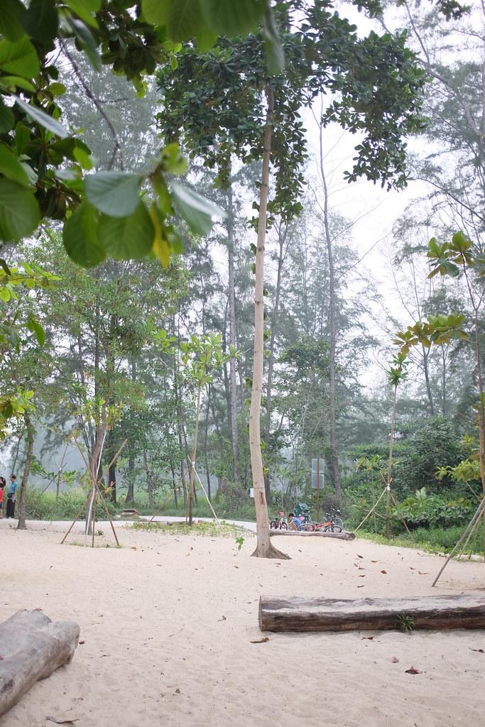 Punggol Town Council Approves Revised Conservancy Charges Ordinance, Directly Raising Monthly Bills for 52,000 Households