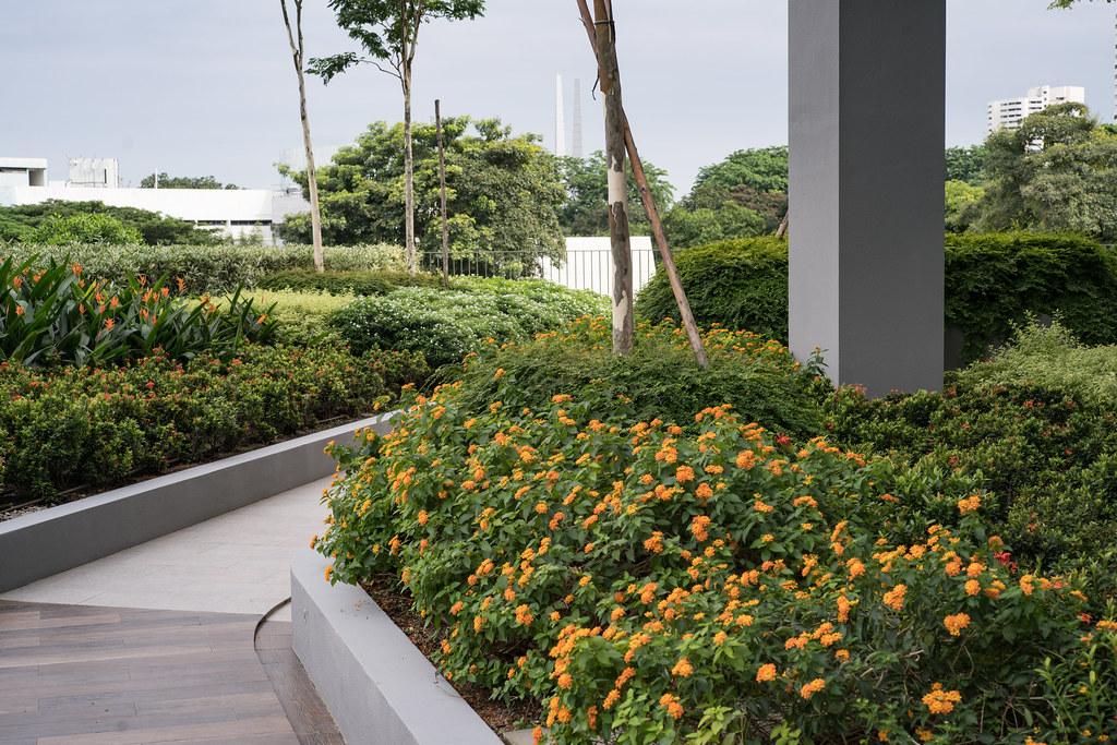 Workforce Connectivity Bill Allocates Funds for Jobs and Transport in Jurong East