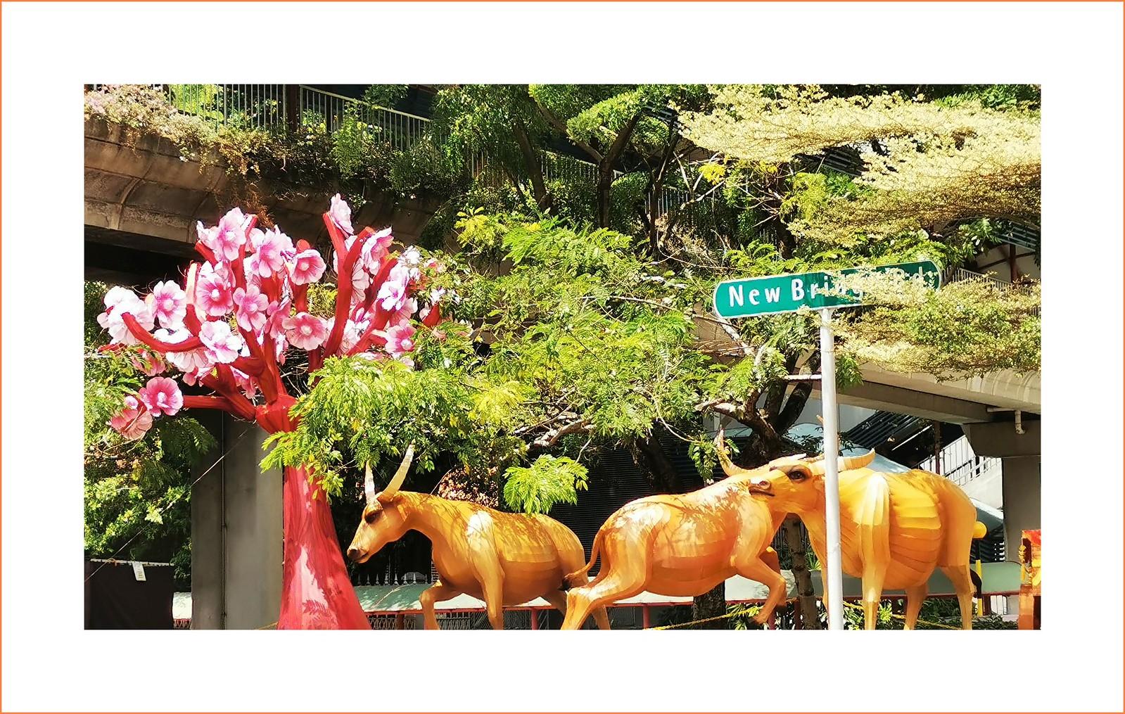 Chinatown Families Face New Options as SFUSD Launches Local Special Education Site