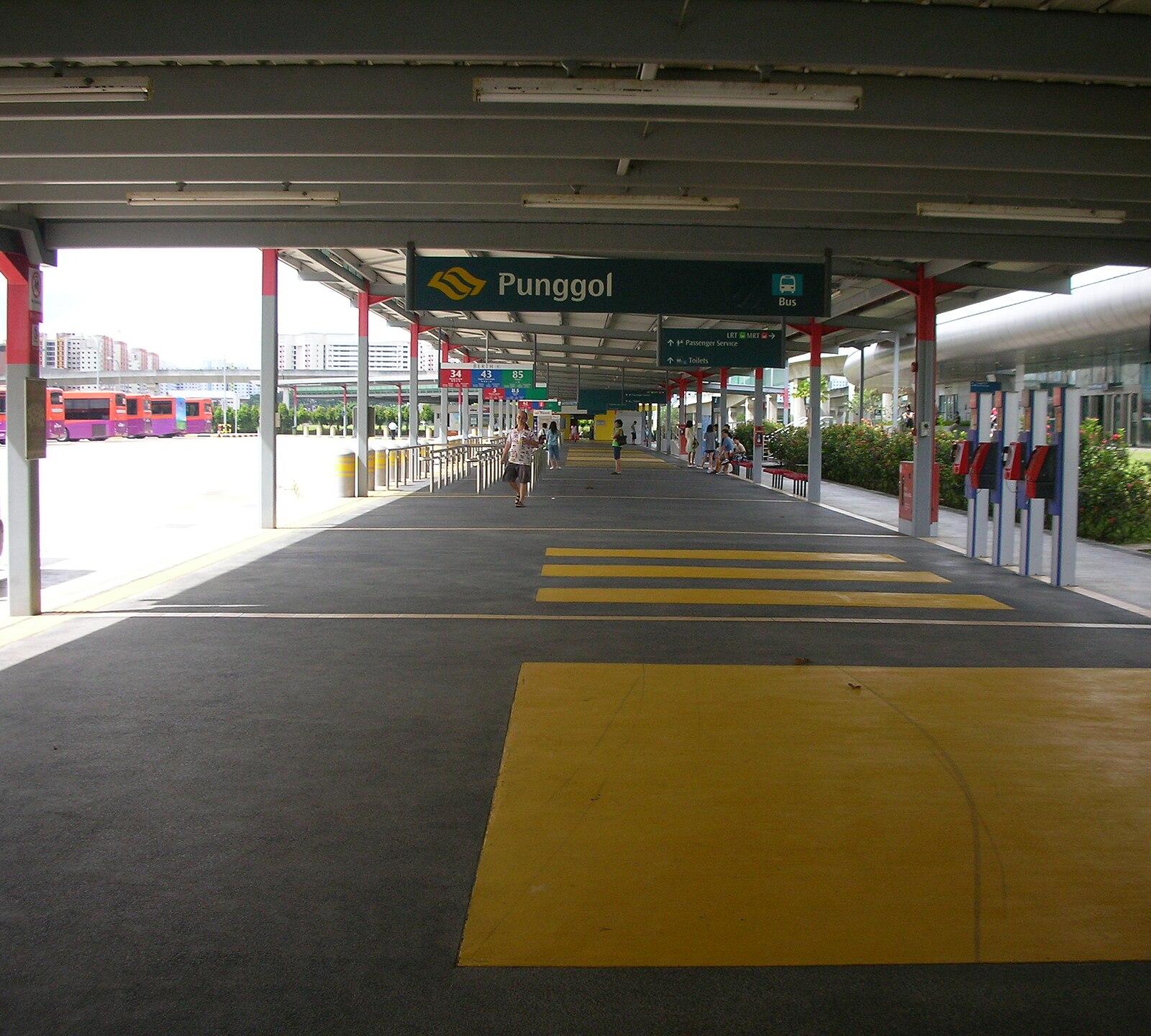 Temp Punggol Bus Terminal1 panoramio